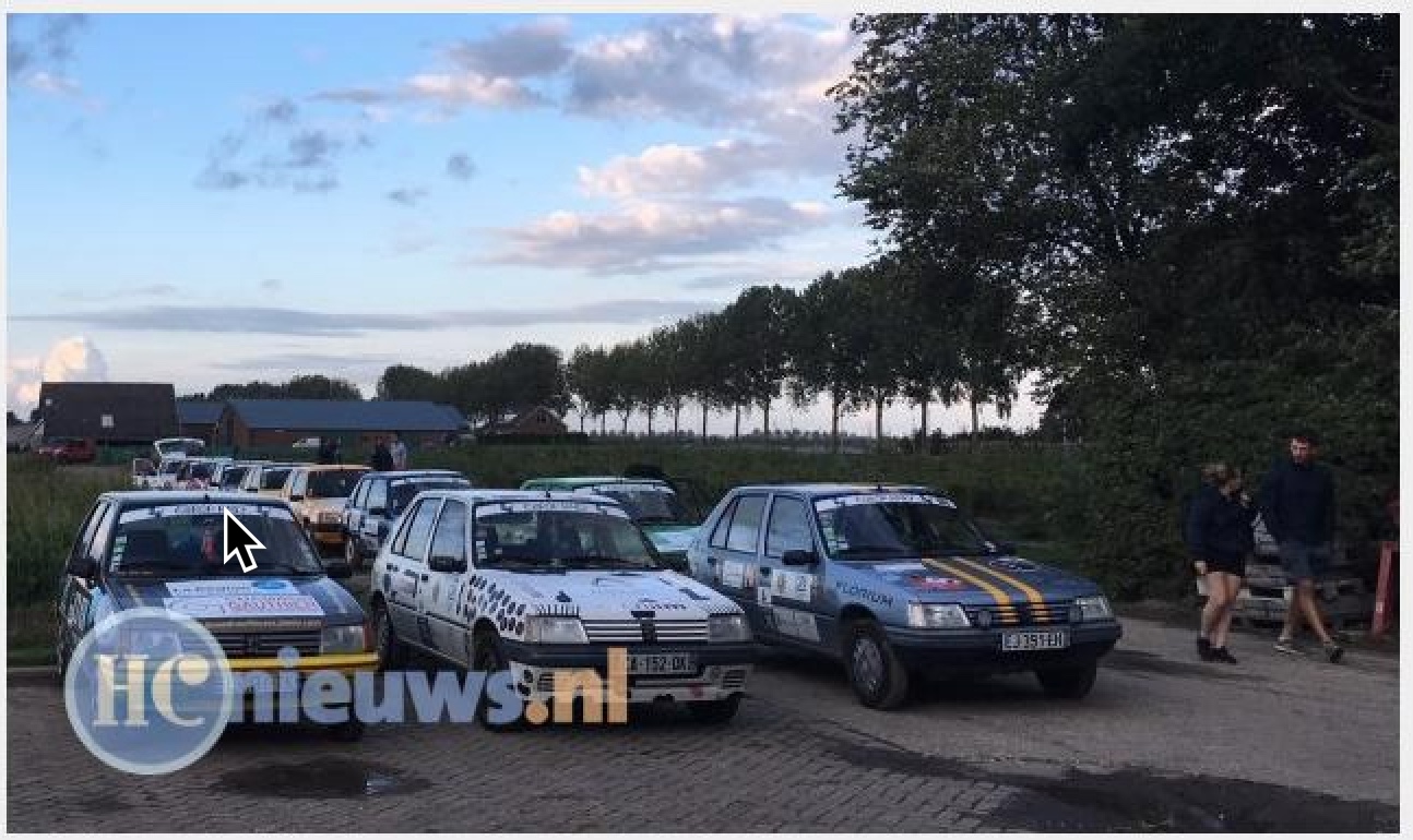 Peugeots
